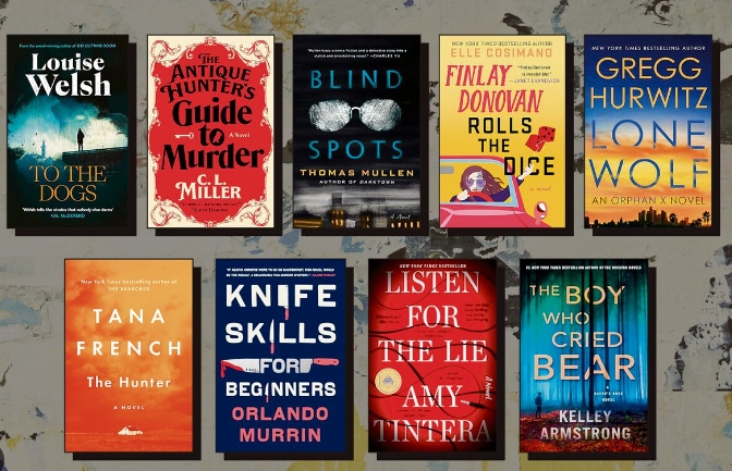 best french crime novels
