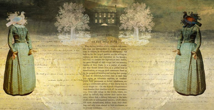 Jane Eyre as a Revolutionary Novel